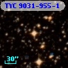 TYC 9031-955-1