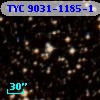 TYC 9031-1185-1