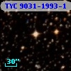 TYC 9031-1993-1