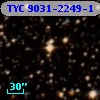 TYC 9031-2249-1