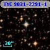 TYC 9031-2291-1