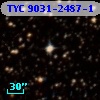 TYC 9031-2487-1