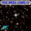 TYC 9031-2495-1