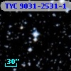 TYC 9031-2531-1
