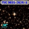 TYC 9031-2628-1