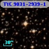 TYC 9031-2939-1