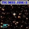 TYC 9031-3186-1