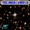 TYC 9031-3497-1