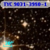 TYC 9031-3980-1
