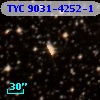 TYC 9031-4252-1