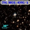 TYC 9031-4395-1