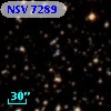 NSV  7289