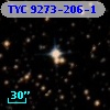 TYC 9273-206-1