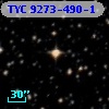 TYC 9273-490-1