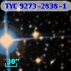 TYC 9273-2838-1