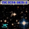 TYC 9274-1029-1