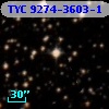 TYC 9274-3603-1