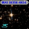 IRAS 16356-6631