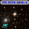 TYC 9274-1016-1
