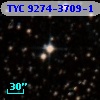 TYC 9274-3709-1