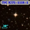 TYC 9275-1118-1