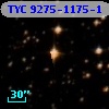 TYC 9275-1175-1
