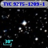 TYC 9275-1209-1