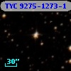 TYC 9275-1273-1