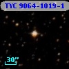 TYC 9064-1019-1