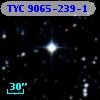 TYC 9065-239-1