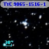 TYC 9065-1516-1