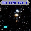 TYC 9275-829-1