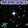 TYC 9275-1238-1