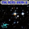 TYC 9275-1879-1