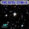 TYC 9275-2248-1