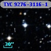 TYC 9276-3116-1