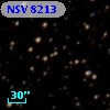 NSV  8213