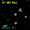 V* NV Pav