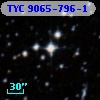 TYC 9065-796-1