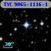 TYC 9065-1116-1