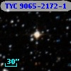 TYC 9065-2172-1
