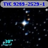 TYC 9289-2529-1