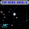 TYC 9293-1028-1