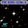 TYC 9293-1236-1