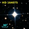 HD 164075