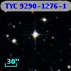 TYC 9290-1276-1