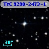 TYC 9290-2473-1