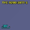 TYC 9290-2877-1