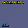 TYC 9291-169-1