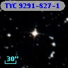TYC 9291-827-1